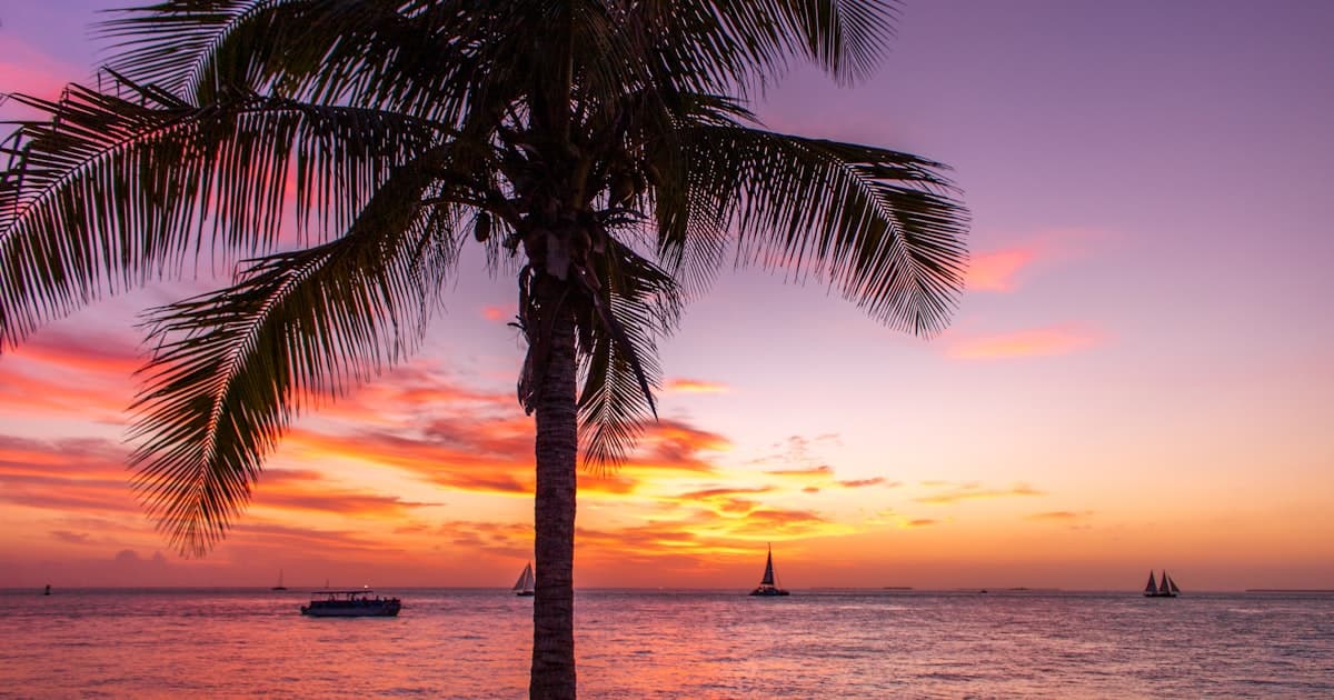 Love Island USA: Free Watch Party Game for Season 7